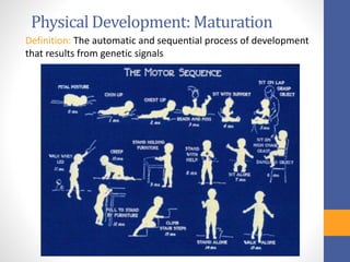 Development Vs Maturation Psychology Unit 5 Early Childhood | PPTX