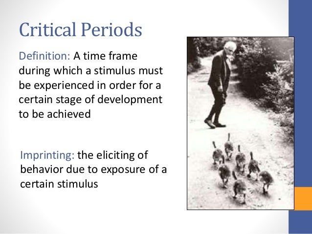 Human Nature Definition Psychology Human Nature Definition Psychology
