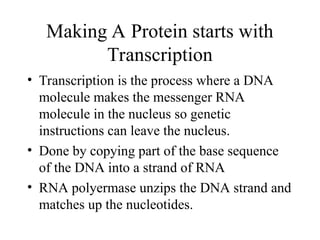 Grade 10 Science - Biology Unit 5 DNA and RNA.ppt