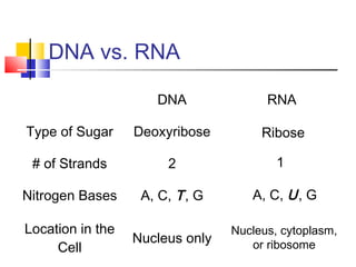 Unit 5 dna etc for moodle 2013 | PPT
