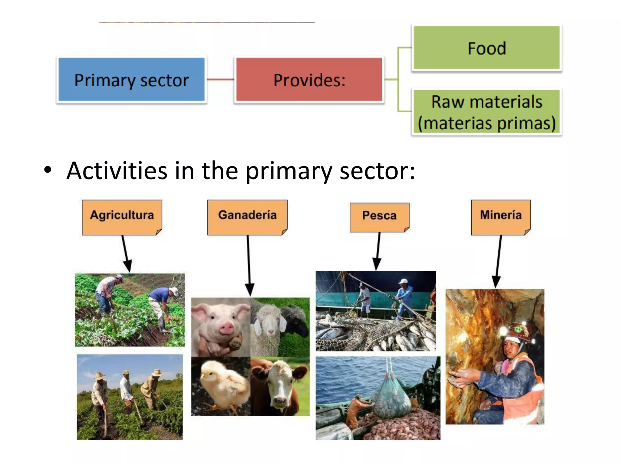 Unit 5 economic sectors | PDF