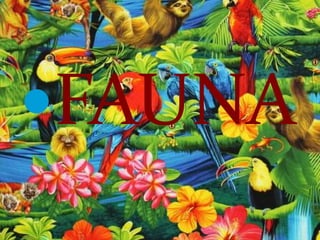 FAUNA
 