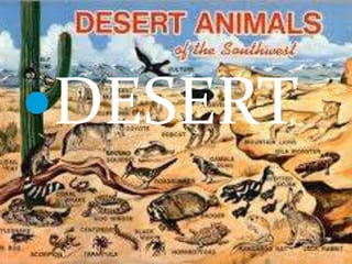 DESERT
 