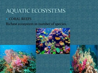  CORAL REEFS
Richest ecosystem in number of species.
 
