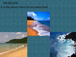  SHORELINE
It is the places where the sea meets land.
 