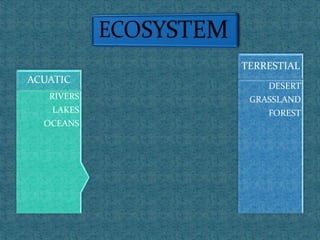 DESERT
GRASSLAND
FOREST
TERRESTIAL
RIVERS
LAKES
OCEANS
ACUATIC
 