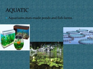  Aquariums,man-made ponds and fish farms.
 