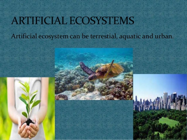 ARTIFICIAL ECOSYSTEM EBOOK DOWNLOAD ARTIFICIAL ECOSYSTEM EBOOK DOWNLOAD