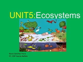 UNIT5:Ecosystems
Nuria Sánchez Parra
5º, CEIP García Bellido
 