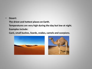 • Desert:
The driest and hottest places on Earth.
Temperatures are very high during the day but low at night.
Examples include:
Cacti, small bushes, lizards, snakes, camels and scorpions.
 
