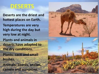DESERTS
Deserts are the driest and
hottest places on Earth.
Temperatures are very
high during the day but
very low at night.
Plants and animals in
deserts have adapted to
the dry conditions.
Plants: cacti and small
bushes.
Animals: lizards, snakes,
camels and scorpions.
 