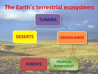 The Earth´s terrestrial ecosystems
TUNDRA
GRASSLANDS
TROPICAL
RAINFORESTFORESTS
DESERTS
 