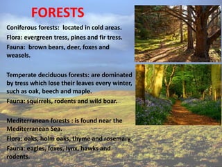 Coniferous forests: located in cold areas.
Flora: evergreen tress, pines and fir tress.
Fauna: brown bears, deer, foxes and
weasels.
Temperate deciduous forests: are dominated
by tress which lose their leaves every winter,
such as oak, beech and maple.
Fauna: squirrels, rodents and wild boar.
Mediterranean forests : is found near the
Mediterranean Sea.
Flora: oaks, holm oaks, thyme and rosemary.
Fauna: eagles, foxes, lynx, hawks and
rodents.
FORESTS
 