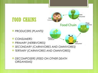 FOOD CHAINS
 PRODUCERS (PLANTS)
 CONSUMERS:
 PRIMARY (HERBIVORES)
 SECONDARY (CARNIVORES AND OMNIVORES)
 TERTIARY (CARNIVORES AND OMNIVORES)
 DECOMPOSERS (FEED ON OTHER DEATH
ORGANISMS)
 