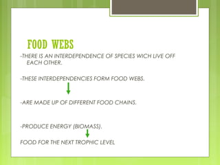 FOOD WEBS
-THERE IS AN INTERDEPENDENCE OF SPECIES WICH LIVE OFF
EACH OTHER.
-THESE INTERDEPENDENCIES FORM FOOD WEBS.
-ARE MADE UP OF DIFFERENT FOOD CHAINS.
-PRODUCE ENERGY (BIOMASS).
FOOD FOR THE NEXT TROPHIC LEVEL
 