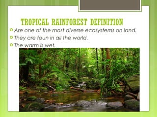 TROPICAL RAINFOREST DEFINITION
 Are one of the most diverse ecosystems on land.
 They are foun in all the world.
 The warm is wet.
 