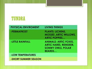 TUNDRA
PHYSICAL ENVIROMENT LIVING THINGS
-PERMAFROST PLANTS: LICHENS,
MOSSES ,ARTIC WILLOWS,
ARTIC POPPIES…
-LITTLE RAINFALL ANIMALS: ARTIC FOXES,
ARTIC HARES, REINDEER,
SONWY OWLS, POLAR
BEARDS…
-LOW TEMPERATURES
-SHORT SUMMER SEASON
 