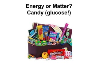 Energy or Matter?
Candy (glucose!)
 