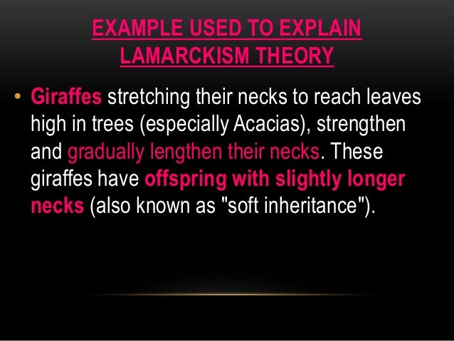 Explain The Unit Of Natural Selection Explain The Unit Of Natural Selection