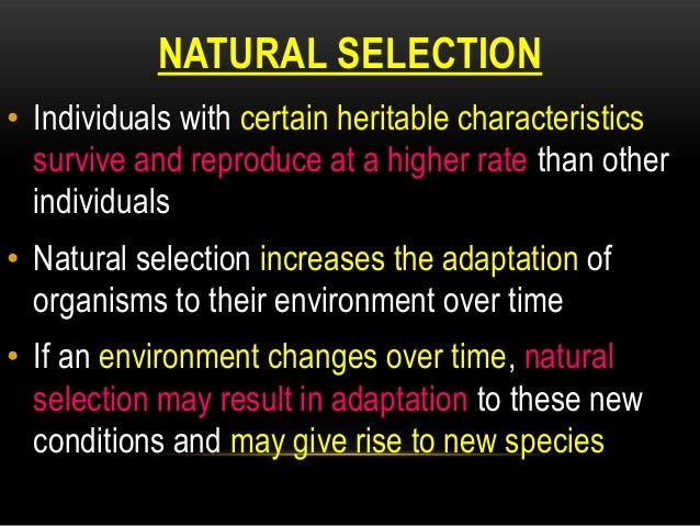 Natural Selection Tend To Decrease Natural Selection Tend To Decrease