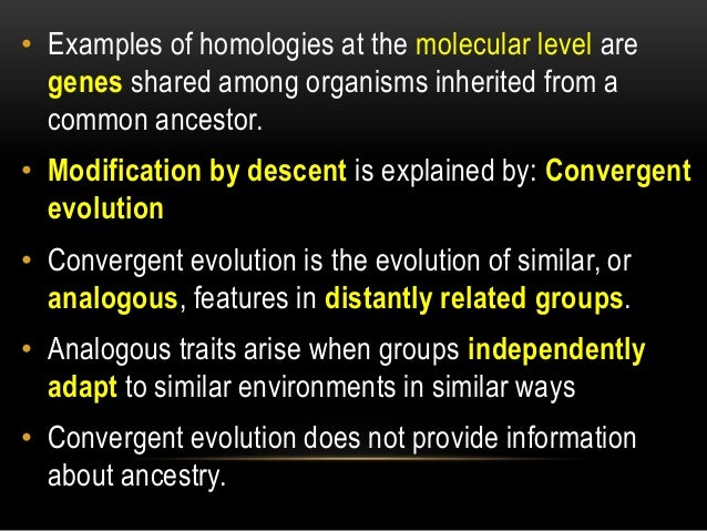 what does darwins theory of evolution by natural selection predict