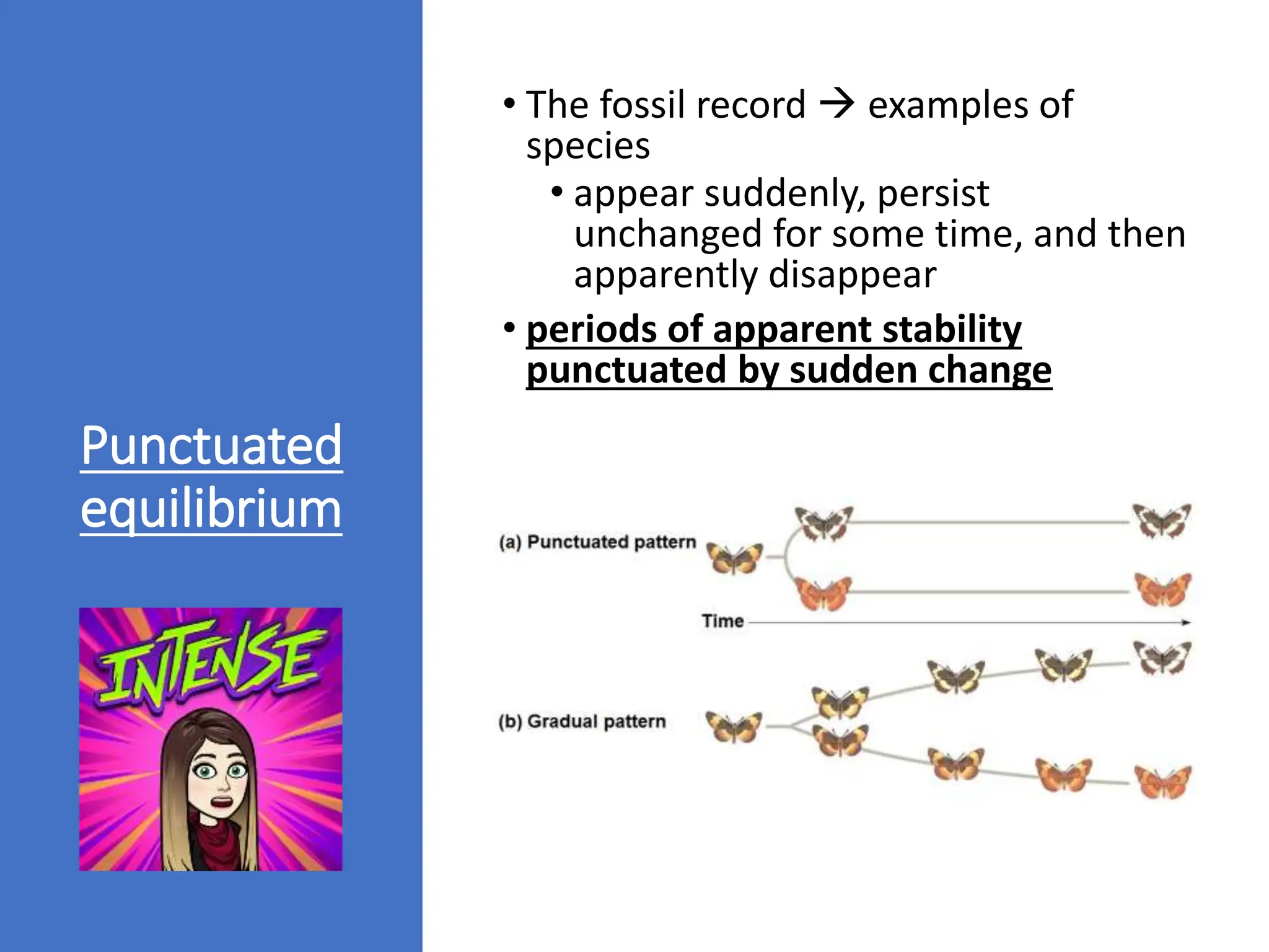 Punctuated
equilibrium
• The fossil record  examples of
species
• appear suddenly, persist
unchanged for some time, and then
apparently disappear
• periods of apparent stability
punctuated by sudden change
 