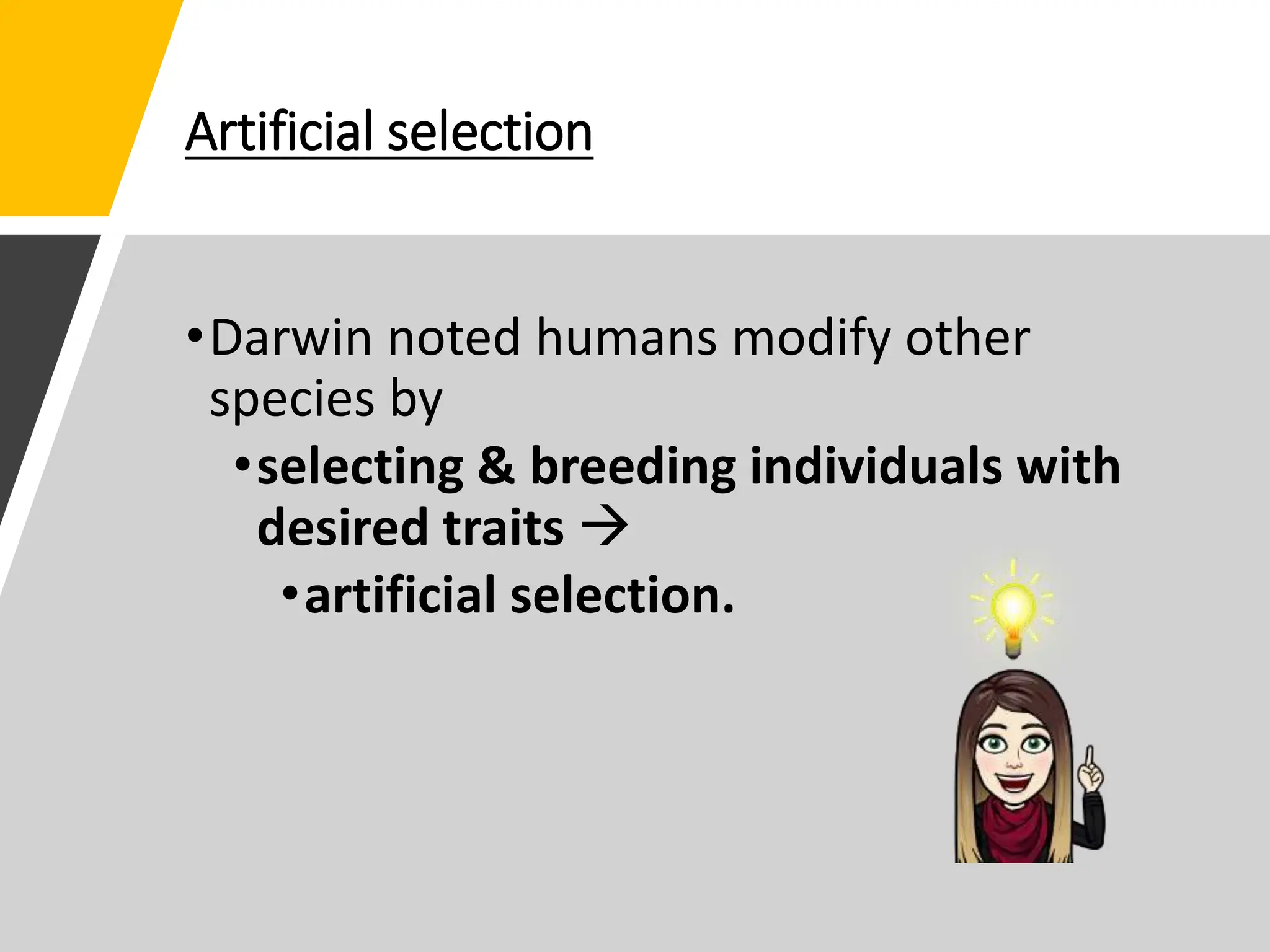 Artificial selection
•Darwin noted humans modify other
species by
•selecting & breeding individuals with
desired traits 
•artificial selection.
 