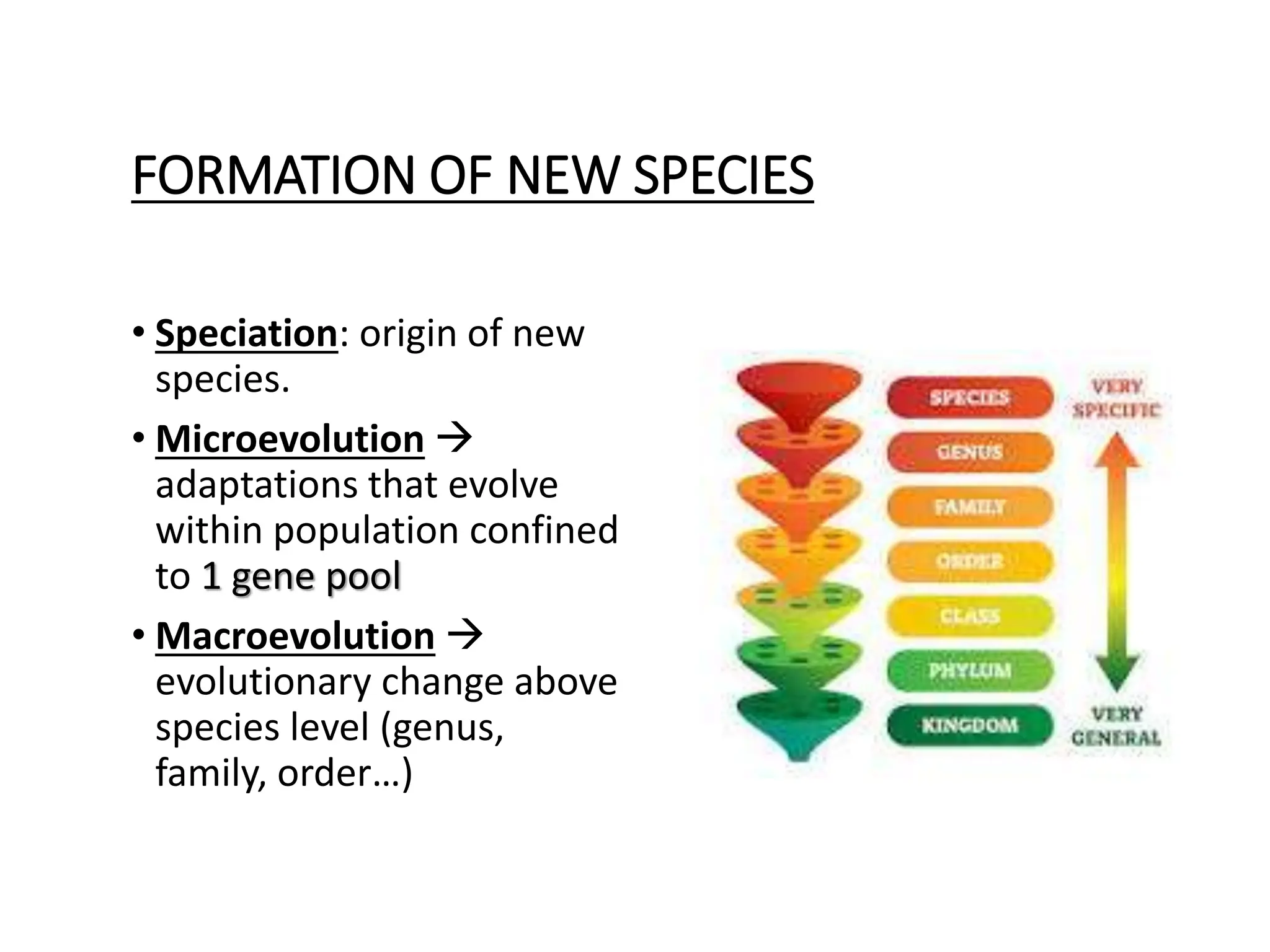 FORMATION OF NEW SPECIES
• Speciation: origin of new
species.
• Microevolution 
adaptations that evolve
within population confined
to 1 gene pool
• Macroevolution 
evolutionary change above
species level (genus,
family, order…)
 