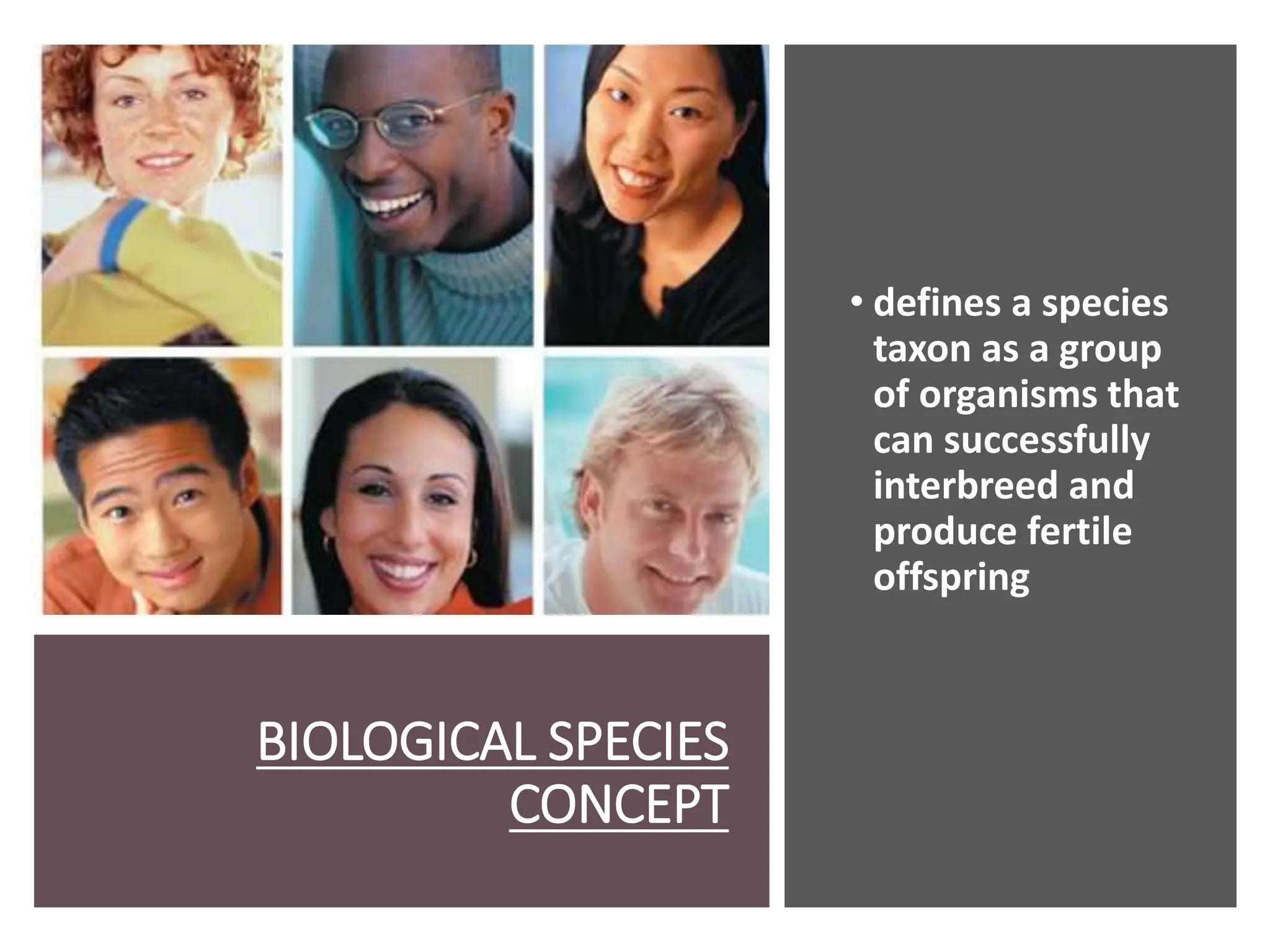 BIOLOGICAL SPECIES
CONCEPT
• defines a species
taxon as a group
of organisms that
can successfully
interbreed and
produce fertile
offspring
 