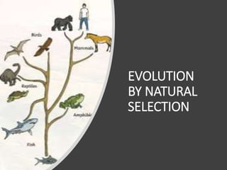 EVOLUTION
BY NATURAL
SELECTION
 