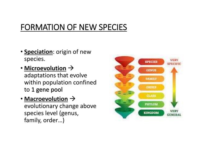 Unit 5_Evolution by Natural Selection_Complete.pptx