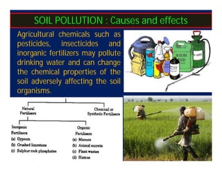 Unit 5 EVS.pdf Unit 5: Environmental Pollution | PDF