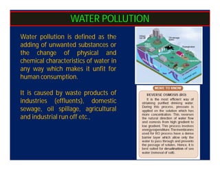 Unit 5 EVS.pdf Unit 5: Environmental Pollution | PDF