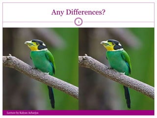 Any Differences?
Lecture by Kalyan Acharjya
1
 