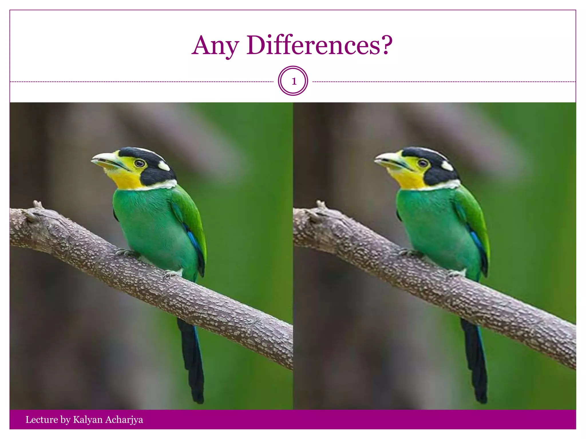 Any Differences?
Lecture by Kalyan Acharjya
1
 