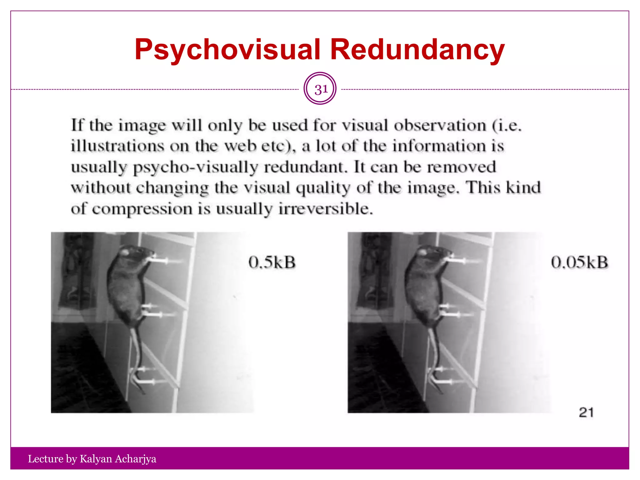 Psychovisual Redundancy
Lecture by Kalyan Acharjya
31
 