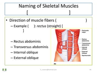 Unit 5 Muscular System | PPTX