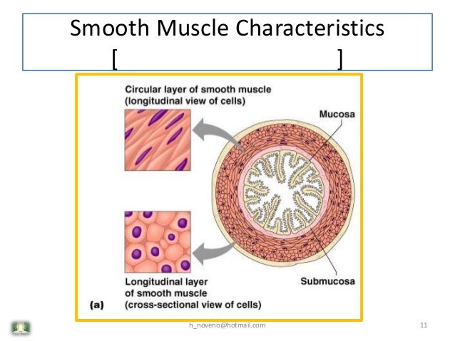 Unit 5 Muscular System