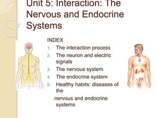 Unit 5: Interaction: The
Nervous and Endocrine
Systems
INDEX
1. The interaction process
2. The neuron and electric
signals
3. The nervous system
4. The endocrine system
5. Healthy habits: diseases of
the
nervous and endocrine
systems
 