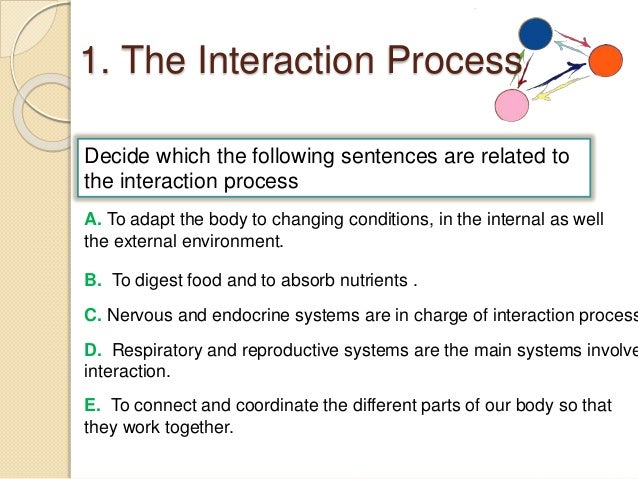 Unit 5 Nervous System