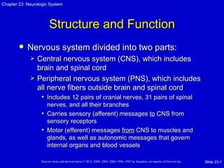 Chapter 23: Neurologic System




                        Structure and Function
           Nervous system divided into two parts:
                Central nervous system (CNS), which includes
                 brain and spinal cord
                Peripheral nervous system (PNS), which includes
                 all nerve fibers outside brain and spinal cord
                  • Includes 12 pairs of cranial nerves, 31 pairs of spinal
                    nerves, and all their branches
                  • Carries sensory (afferent) messages to CNS from
                    sensory receptors
                  • Motor (efferent) messages from CNS to muscles and
                    glands, as well as autonomic messages that govern
                    internal organs and blood vessels

                  Elsevier items and derived items © 2012, 2008, 2004, 2000, 1996, 1992 by Saunders, an imprint of Elsevier Inc.   Slide 23-1
 