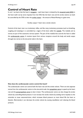 Unit 5 notes | PDF