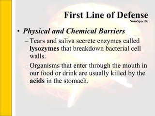 First Line of Defense Physical and Chemical Barriers Tears and saliva secrete enzymes called  lysozymes  that breakdown bacterial cell walls.  Organisms that enter through the mouth in our food or drink are usually killed by the  acids  in the stomach.  Non-Specific 