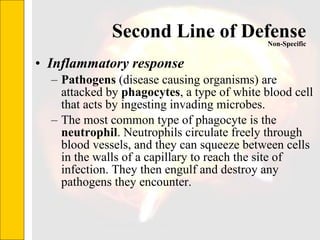 Second Line of Defense Inflammatory response Pathogens  (disease causing organisms) are attacked by  phagocytes , a type of white blood cell that acts by ingesting invading microbes.  The most common type of phagocyte is the  neutrophil . Neutrophils circulate freely through blood vessels, and they can squeeze between cells in the walls of a capillary to reach the site of infection. They then engulf and destroy any pathogens they encounter.  Non-Specific 