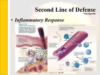 Second Line of Defense Inflammatory Response Non-Specific 