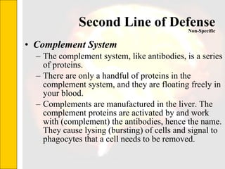Second Line of Defense Complement System The complement system, like antibodies, is a series of proteins.  There are only a handful of proteins in the complement system, and they are floating freely in your blood.  Complements are manufactured in the liver. The complement proteins are activated by and work with (complement) the antibodies, hence the name. They cause lysing (bursting) of cells and signal to phagocytes that a cell needs to be removed.  Non-Specific 