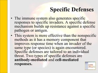 Specific Defenses The immune system also generates specific responses to specific invaders. A specific defense mechanism builds up resistance against a specific pathogen or antigen.  This system is more effective than the nonspecific methods as it has a memory component that improves response time when an invader of the same type (or species) is again encountered. Specific defenses are tailored to an individual threat. Two types of specific defenses are  antibody-mediated  and  cell-mediated responses.   