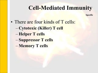 Cell-Mediated Immunity  There are four kinds of T cells: Cytotoxic (Killer) T cell   Helper T cells   Suppressor T cells   Memory T cells   Specific 