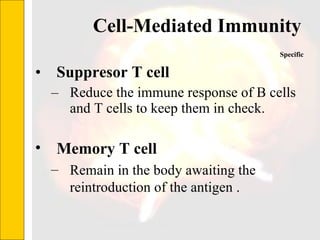 Cell-Mediated Immunity  Suppresor T cell   Reduce the immune response of B cells and T cells to keep them in check. Specific Memory T cell   Remain in the body awaiting the reintroduction of the antigen . 