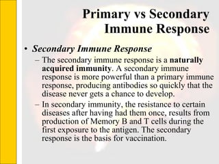 Primary vs Secondary Immune Response Secondary Immune Response The secondary immune response is a  naturally acquired immunity . A secondary immune response is more powerful than a primary immune response, producing antibodies so quickly that the disease never gets a chance to develop.  In secondary immunity, the resistance to certain diseases after having had them once, results from production of Memory B and T cells during the first exposure to the antigen. The secondary response is the basis for vaccination. 